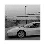 RVCKSTAR - Testarossa