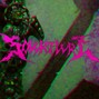 SOLVRFLVRE - FIN DEL MUNDO XXX