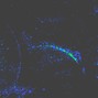 LEO legendary - Exquisite | J.Cole x Amine Type Beat