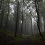 ojosdegota! - MISSION (DARK PLUGG + AMBIENT)