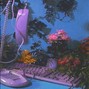 honeybee! - forget me not