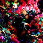 DrowningIN - DJ Xxx_HALL0W33N_XXX - WAND3RLVST