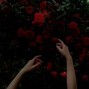 lusinho.beatz - CHILL VIBES