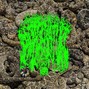 svgntr - ethereal deathmatch plugg type beat"siren of snakes"[prod. svgntr]