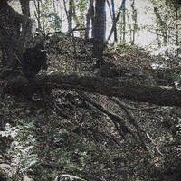 savetyler