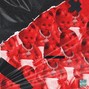 asiocut - Red baby 