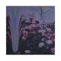 scutra - lavish