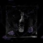 AJThePlug - Poison Love [PoorStacy x Nick Mira]