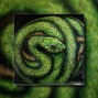 AJThePlug - L3GND [Roddy Ricch x Gunna]