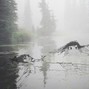 Kerel - reflection