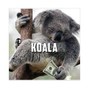 Sean Shizzle - Koala