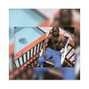 Sean Shizzle - Kickin Flavor