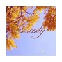 $elfishbeats - Serenity