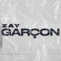 ZAY GARÇON - tesla on autopilot