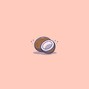 SGULL - Coconut