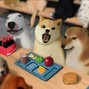 A¥AKA$HI  - MEMES DOGS [ Prod. A¥AKA$HI ] $AGA NEON V 