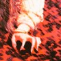 EXORCISM 4 GIRLS - CATCHERS EYE