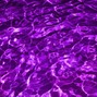Shawn Hundreds - Purple Lights