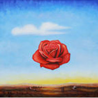 Shawn Lobel