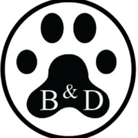 Boy and Dog Beats