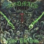 ACIDMANE - ENTER THE VOID