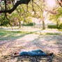 prod. mano - Fever Dream
