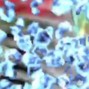 synthpapi - hunnid pack CDs