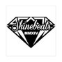 ShineBeats - We Rocking (w/ hook)