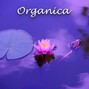 ivrybeatz - Organica