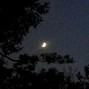 dystopia - to the moon