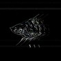 SIL V3 R 100 - ANTOHER THOUGHT