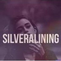 SILVERALINING