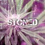 SixtnBeats - Stoned