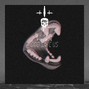 Sir Apex - God Save Us
