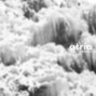 atria - i8solstice