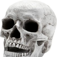 skelamane