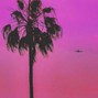 birdzdigital - EXOTICS
