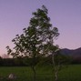 Don Vito - Blossom | Uptempo Guitar Beat