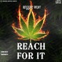 freedomcatchers riddimz - REACH FOR IT