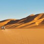 theneighborno13 - Arabia