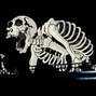 kepter - HECTIC