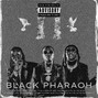 Rob EVN - Black Pharaoh ($300 EXCLUSIVE)