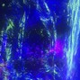 BACKSEAT - B001*_