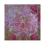 slowpoke.phil - conclude