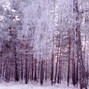 BEAYEE - Snowfall