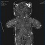 ncinerate - agartha