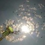 anticøn - shoegaze ✣ noise pop/alt rock type instrumental - "pollen"