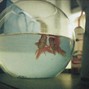 anticøn - sad radiohead x smashing pumpkins alternative rock type instrumental - "fish