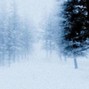 anticøn - sad whirr x horse jumper of love x heavy shoegaze type instrumental - "winters"