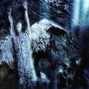 anticøn - nu metal ✣ shoegaze metal type instrumental - "severed signal"